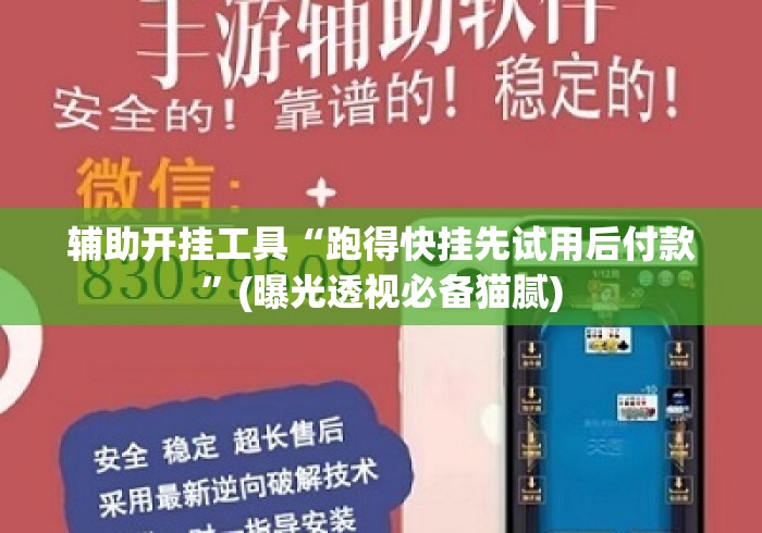 辅助开挂工具“跑得快挂先试用后付款”(曝光透视必备猫腻)