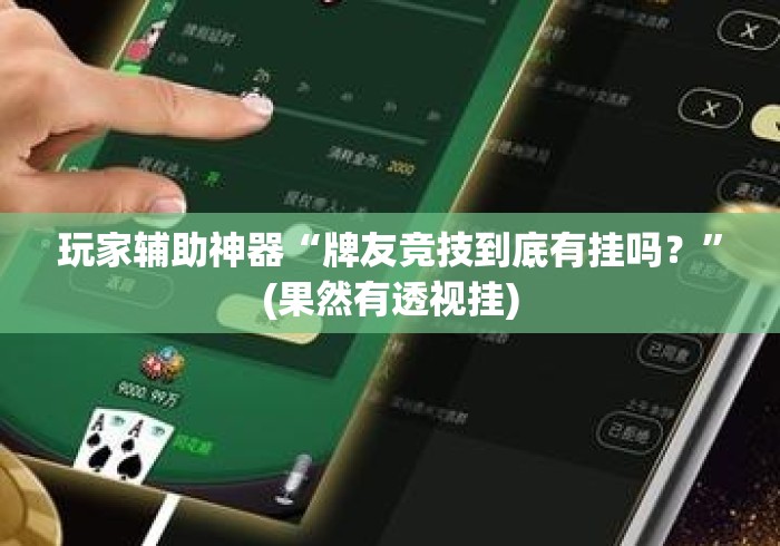 玩家辅助神器“牌友竞技到底有挂吗？	”(果然有透视挂)
