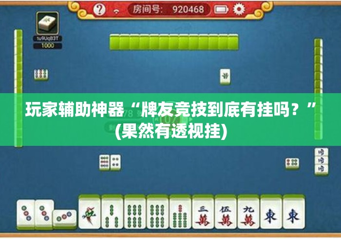 玩家辅助神器“牌友竞技到底有挂吗？”(果然有透视挂)