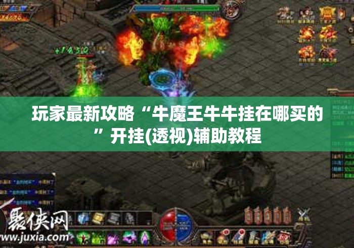 玩家最新攻略“牛魔王牛牛挂在哪买的”开挂(透视)辅助教程