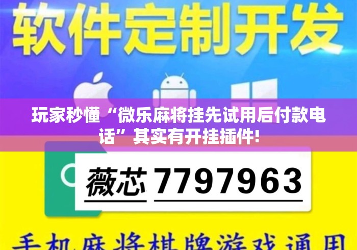 玩家秒懂“微乐麻将挂先试用后付款电话”其实有开挂插件!