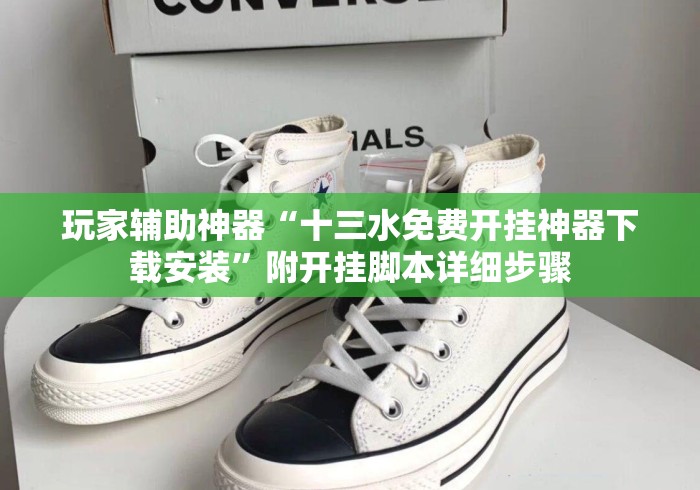 玩家辅助神器“十三水免费开挂神器下载安装”附开挂脚本详细步骤