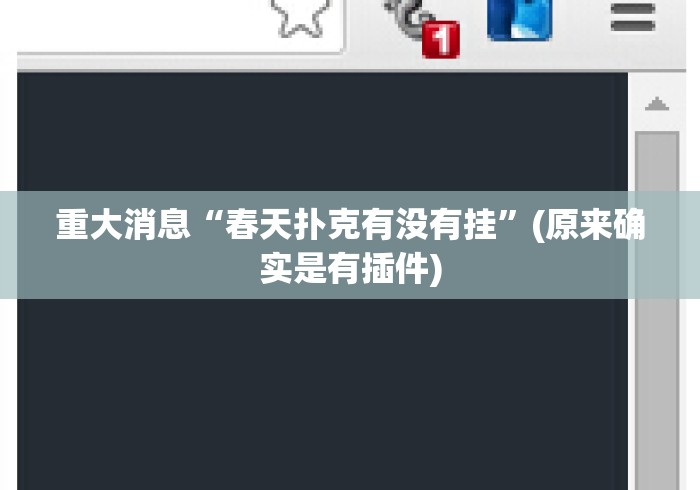 重大消息“春天扑克有没有挂”(原来确实是有插件)