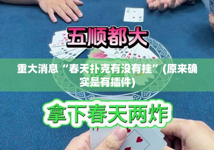 重大消息“春天扑克有没有挂”(原来确实是有插件)
