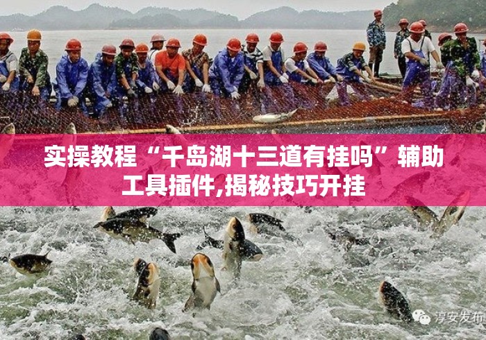 实操教程“千岛湖十三道有挂吗”辅助工具插件,揭秘技巧开挂