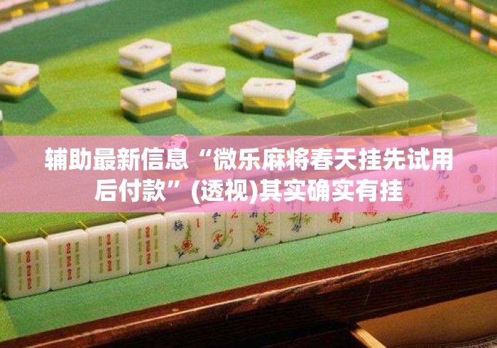 辅助最新信息“微乐麻将春天挂先试用后付款”(透视)其实确实有挂