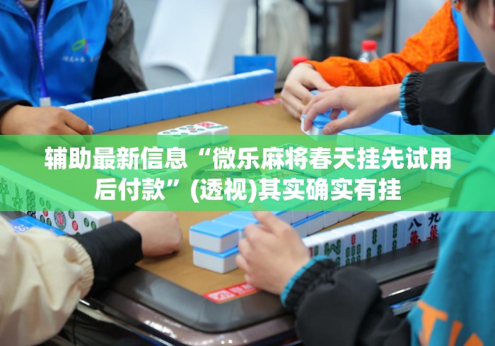 辅助最新信息“微乐麻将春天挂先试用后付款”(透视)其实确实有挂