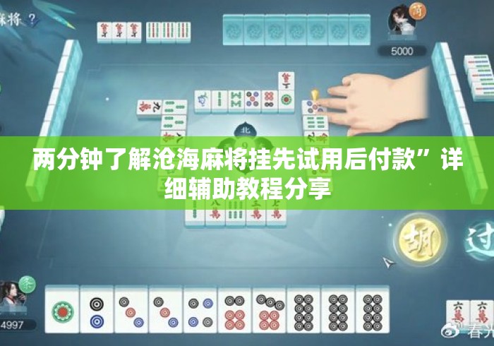 两分钟了解沧海麻将挂先试用后付款”详细辅助教程分享