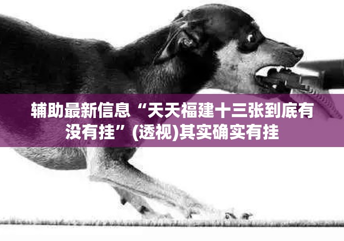 辅助最新信息“天天福建十三张到底有没有挂	”(透视)其实确实有挂