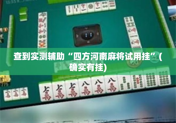 查到实测辅助“四方河南麻将试用挂	”(确实有挂)
