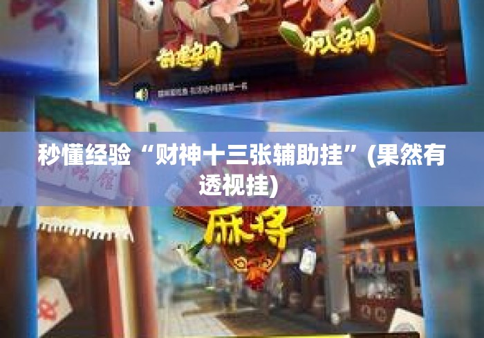 秒懂经验“财神十三张辅助挂”(果然有透视挂) 