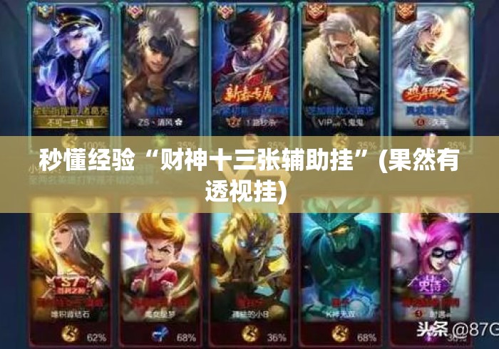 秒懂经验“财神十三张辅助挂”(果然有透视挂) 