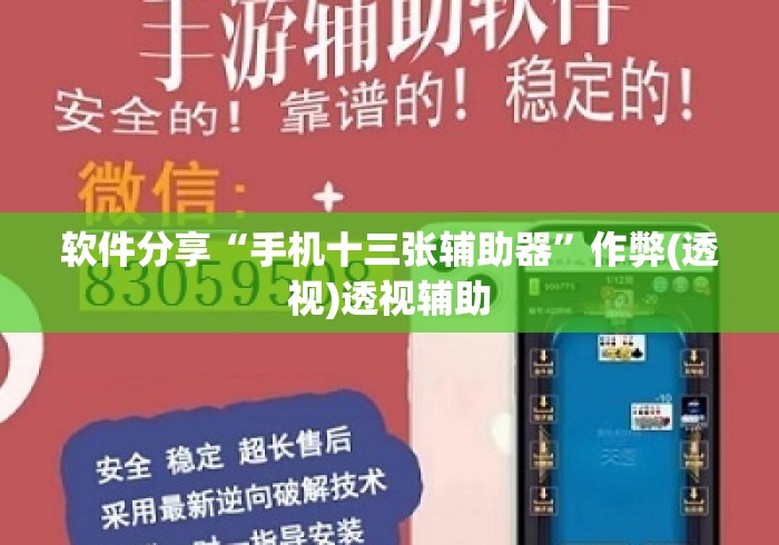 软件分享“手机十三张辅助器”作弊(透视)透视辅助