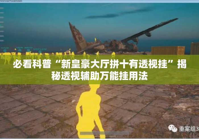 必看科普“新皇豪大厅拼十有透视挂”揭秘透视辅助万能挂用法