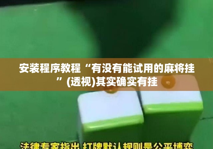 安装程序教程“有没有能试用的麻将挂”(透视)其实确实有挂