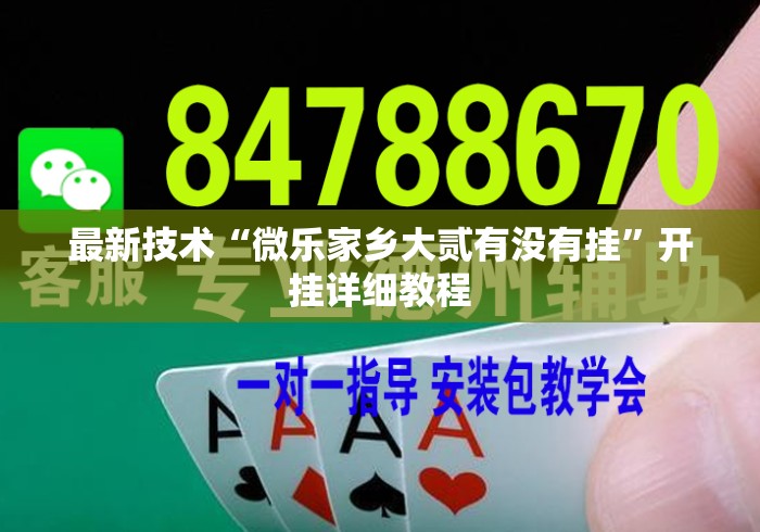 最新技术“微乐家乡大贰有没有挂	”开挂详细教程