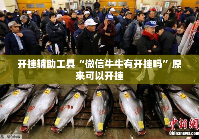 开挂辅助工具“微信牛牛有开挂吗”原来可以开挂