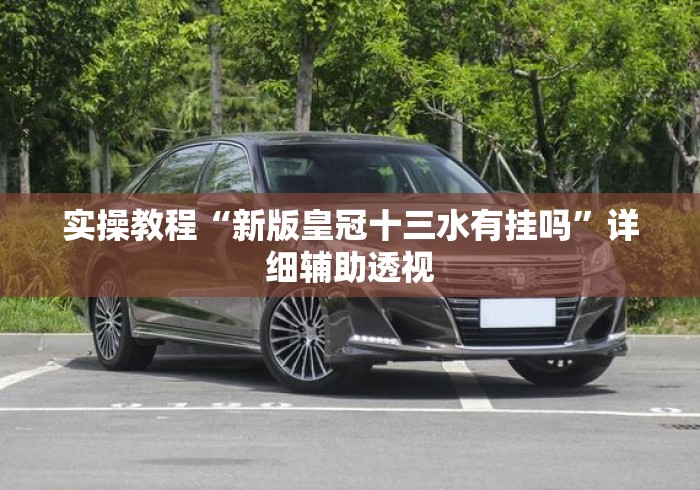 实操教程“新版皇冠十三水有挂吗”详细辅助透视
