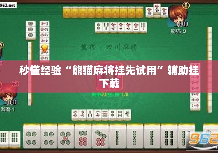秒懂经验“熊猫麻将挂先试用”辅助挂下载