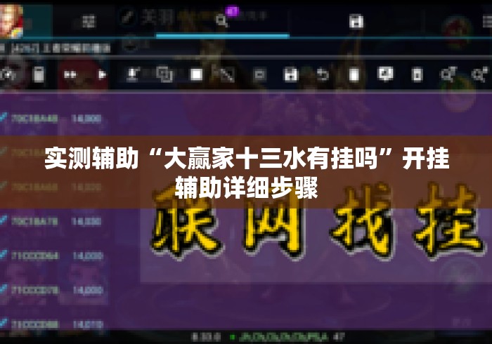 实测辅助“大赢家十三水有挂吗”开挂辅助详细步骤