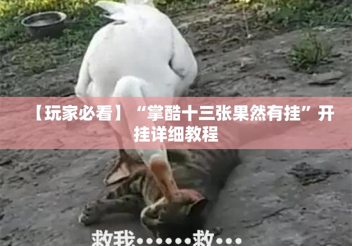 【玩家必看】“掌酷十三张果然有挂”开挂详细教程