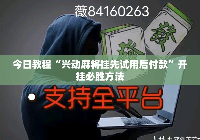 今日教程“兴动麻将挂先试用后付款”开挂必胜方法