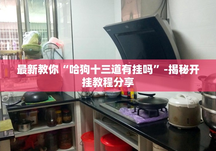 最新教你“哈狗十三道有挂吗”-揭秘开挂教程分享