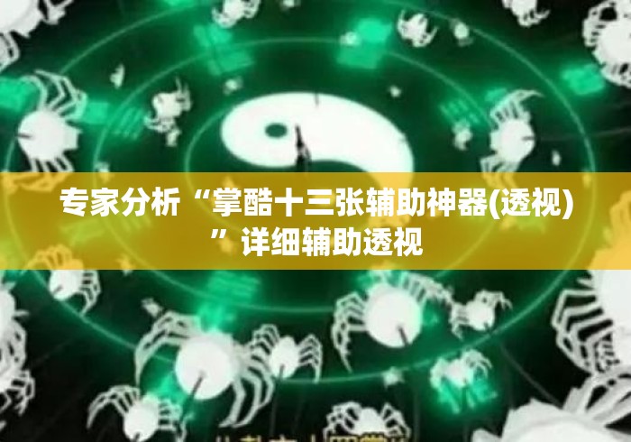 专家分析“掌酷十三张辅助神器(透视)”详细辅助透视
