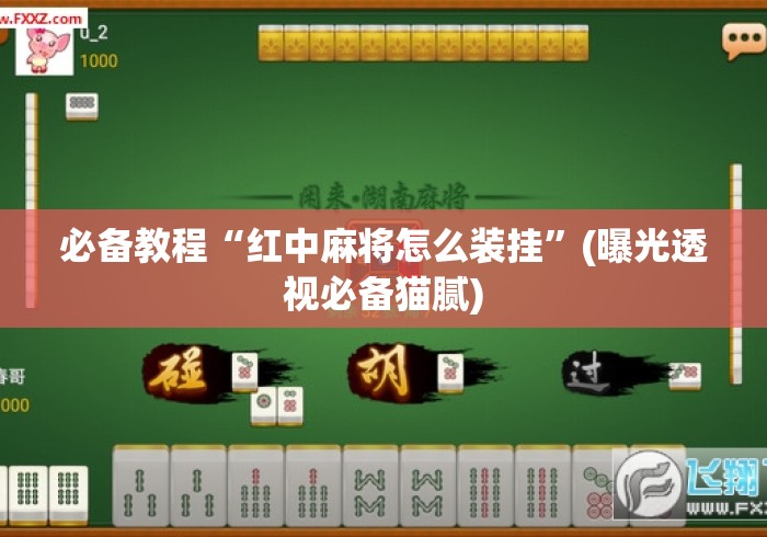 必备教程“红中麻将怎么装挂”(曝光透视必备猫腻)