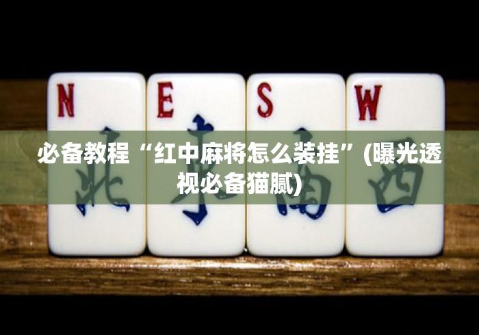 必备教程“红中麻将怎么装挂”(曝光透视必备猫腻)