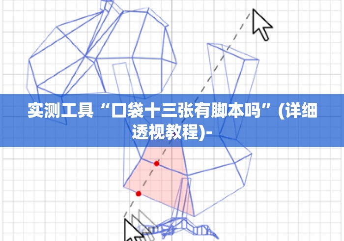 实测工具“口袋十三张有脚本吗”(详细透视教程)-