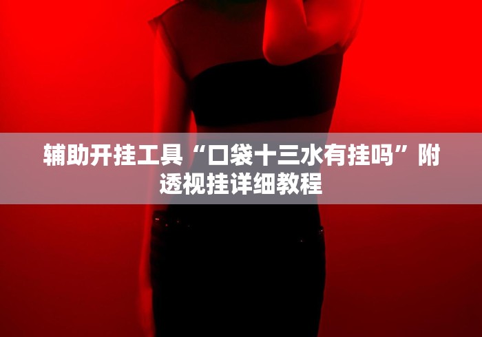 辅助开挂工具“口袋十三水有挂吗	”附透视挂详细教程