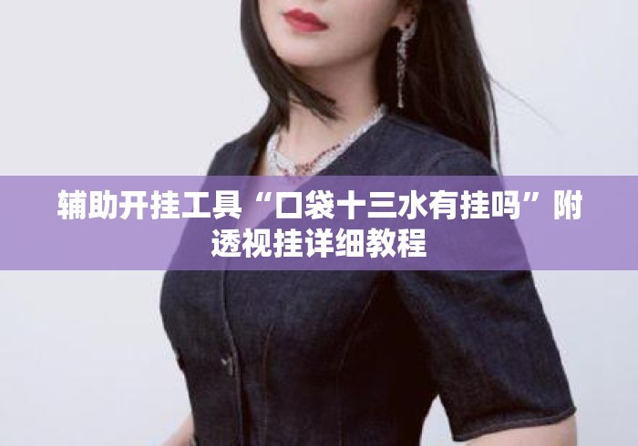 辅助开挂工具“口袋十三水有挂吗”附透视挂详细教程