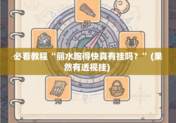 必看教程“丽水跑得快真有挂吗？”(果然有透视挂) 