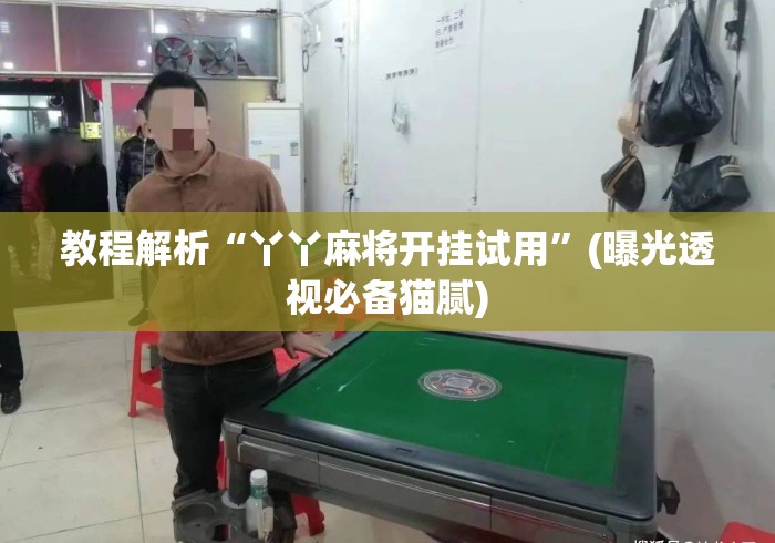 教程解析“丫丫麻将开挂试用”(曝光透视必备猫腻)