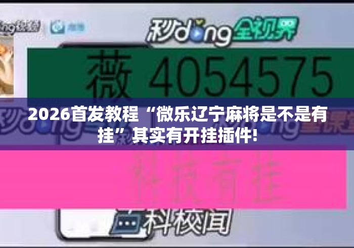 2026首发教程“微乐辽宁麻将是不是有挂”其实有开挂插件!