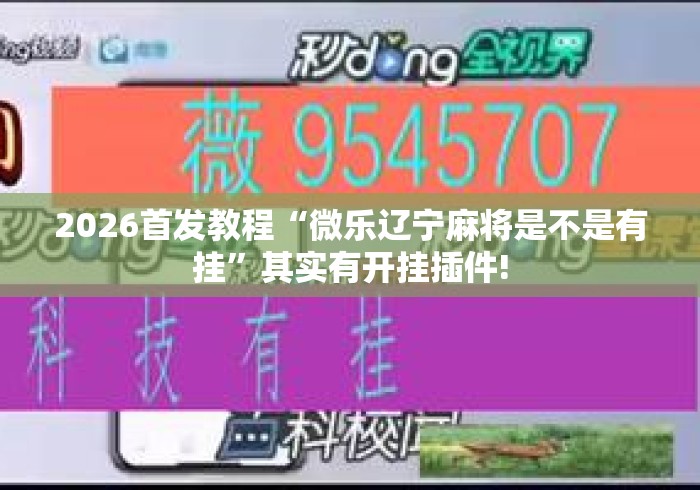 2026首发教程“微乐辽宁麻将是不是有挂	”其实有开挂插件!