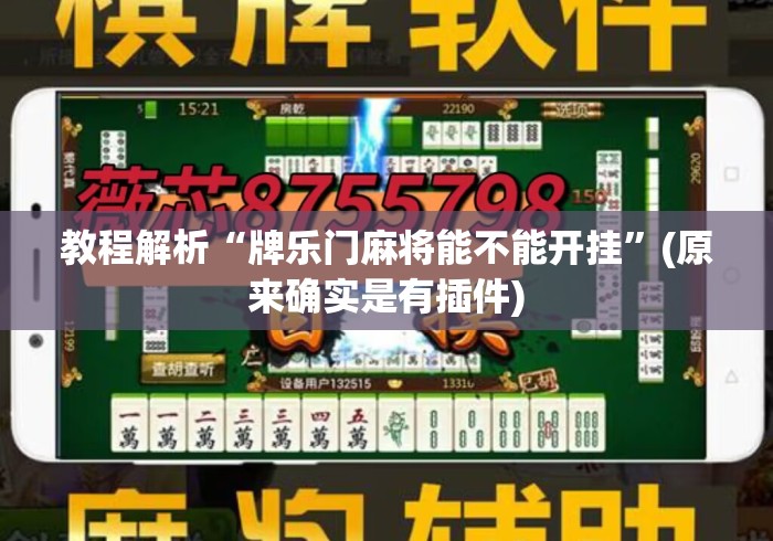 教程解析“牌乐门麻将能不能开挂”(原来确实是有插件)