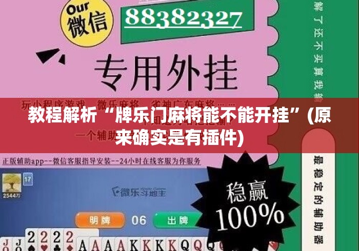 教程解析“牌乐门麻将能不能开挂”(原来确实是有插件)