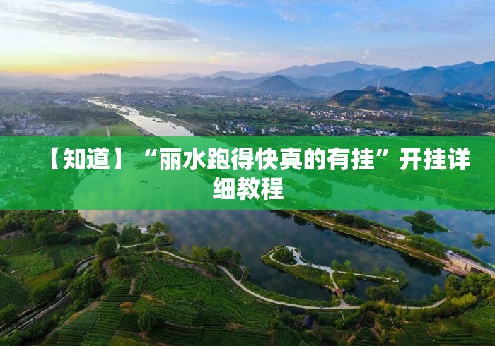 【知道】“丽水跑得快真的有挂”开挂详细教程