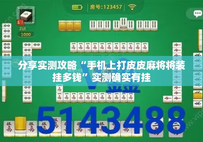 分享实测攻略“手机上打皮皮麻将将装挂多钱”实测确实有挂
