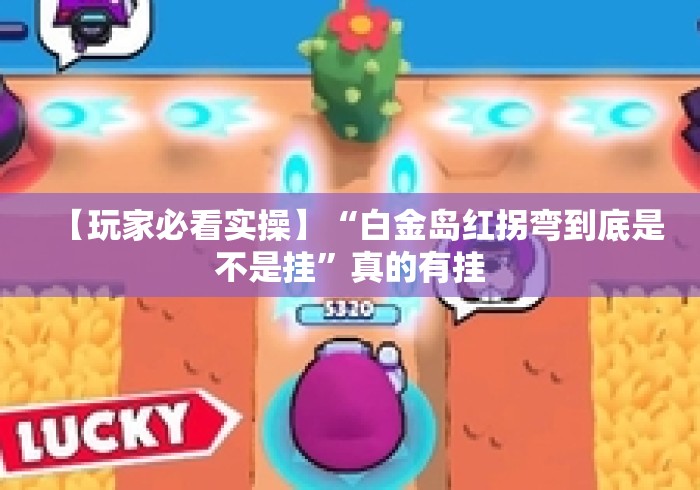 【玩家必看实操】“白金岛红拐弯到底是不是挂”真的有挂