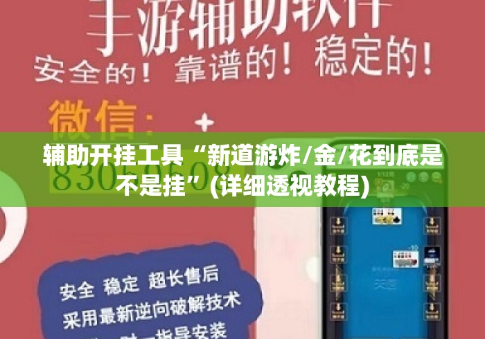 辅助开挂工具“新道游炸/金/花到底是不是挂”(详细透视教程)