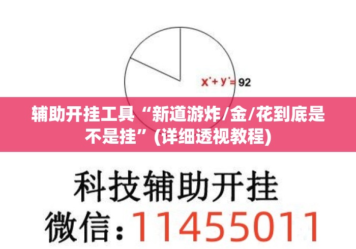 辅助开挂工具“新道游炸/金/花到底是不是挂”(详细透视教程)