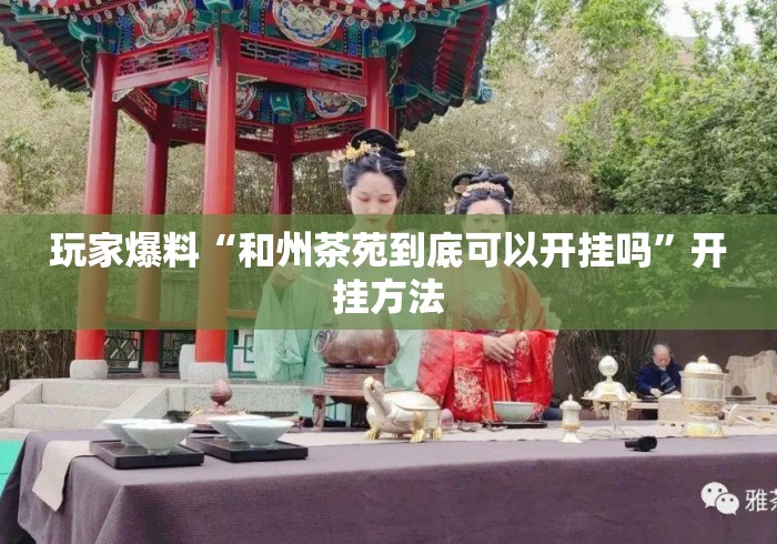 玩家爆料“和州茶苑到底可以开挂吗”开挂方法