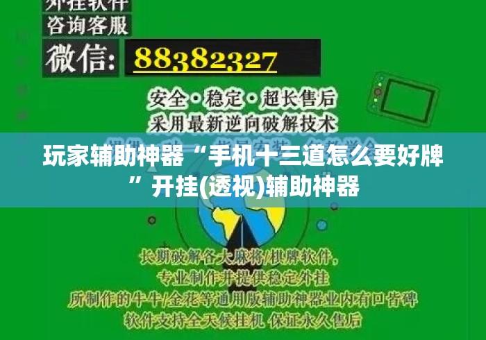 玩家辅助神器“手机十三道怎么要好牌	”开挂(透视)辅助神器