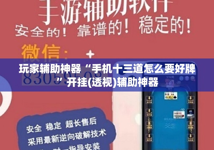 玩家辅助神器“手机十三道怎么要好牌”开挂(透视)辅助神器