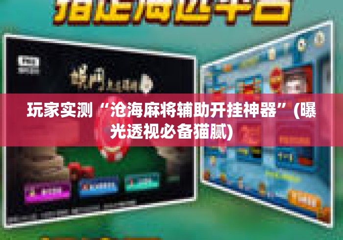 玩家实测“沧海麻将辅助开挂神器”(曝光透视必备猫腻)