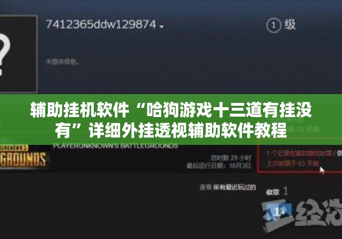辅助挂机软件“哈狗游戏十三道有挂没有”详细外挂透视辅助软件教程