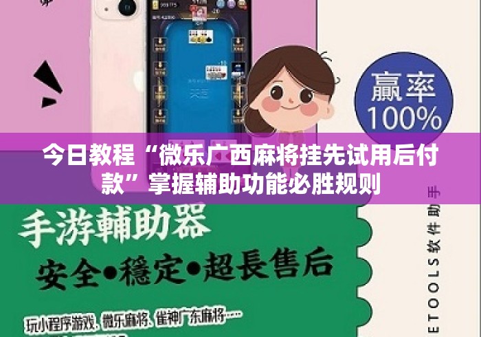 今日教程“微乐广西麻将挂先试用后付款	”掌握辅助功能必胜规则